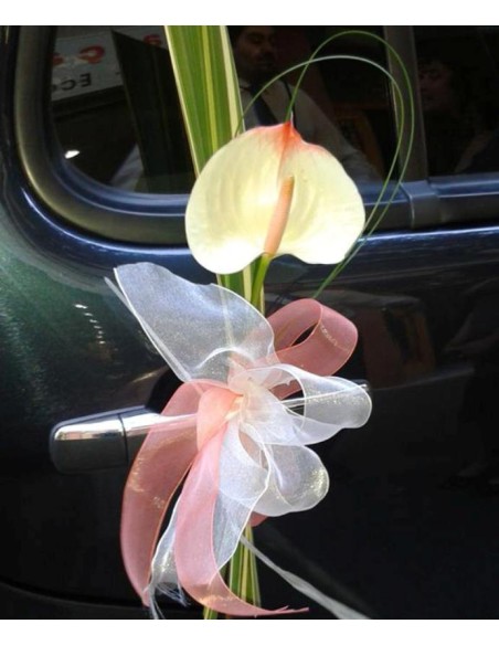 PUERTA COCHE ANTHURIUM