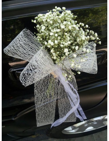 PUERTA COCHE CON PANICULATA