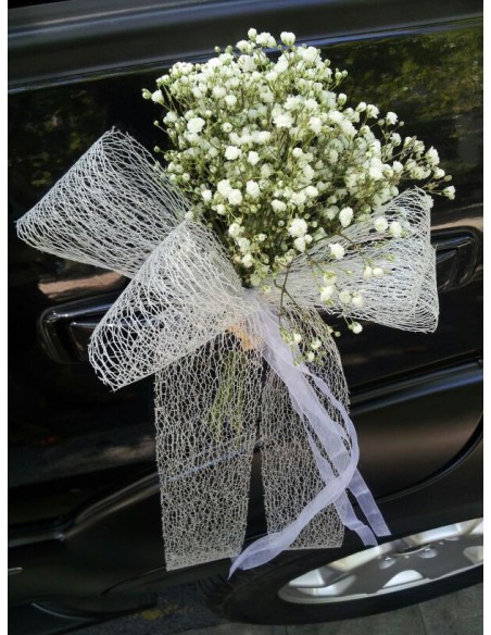 PUERTA COCHE CON PANICULATA