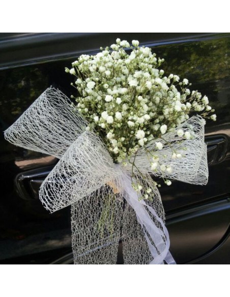 PUERTA COCHE CON PANICULATA