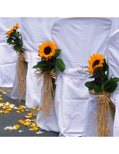 DECORACIÓN SILLAS Y PASILLOS