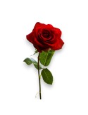 Añadir rosas