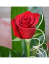 Amor único